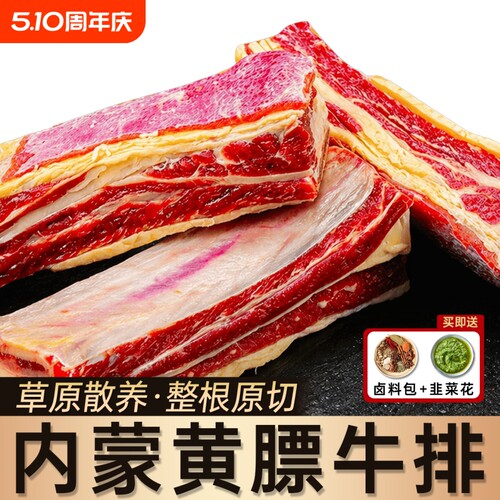 黄膘牛排内蒙古新鲜带肉牛肋排条原切牛肉冷冻黄标牛排骨生鲜