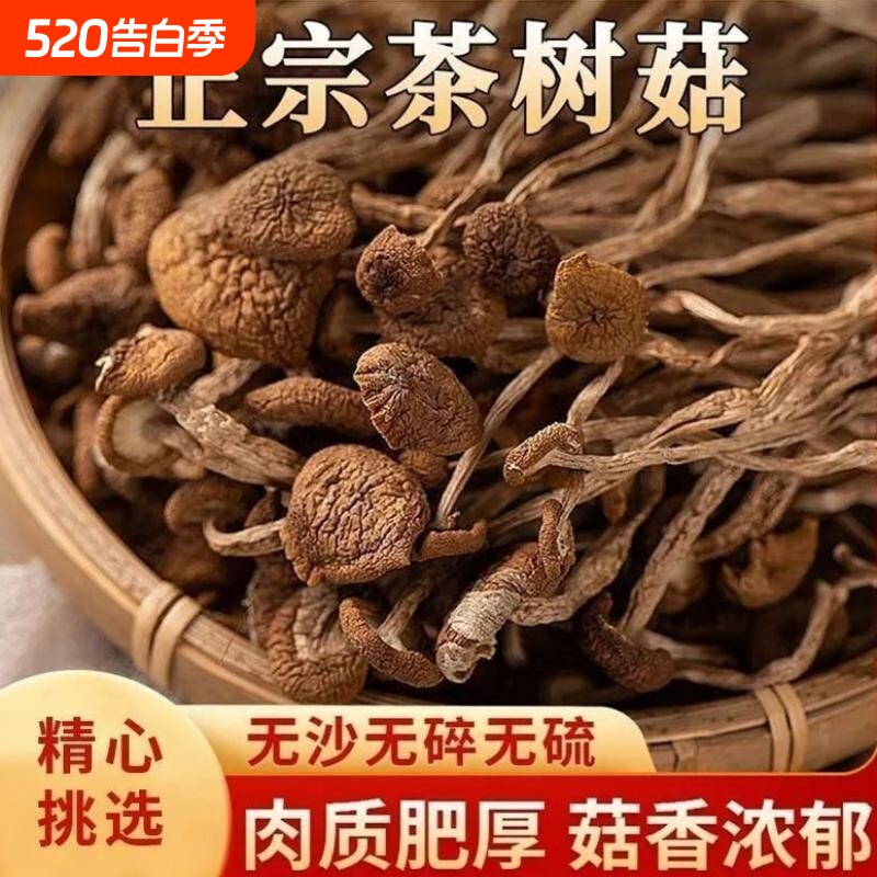 福建古田茶树菇干货农家珍珠菇菌菇香菇煲汤凉拌新货年货新鲜美味