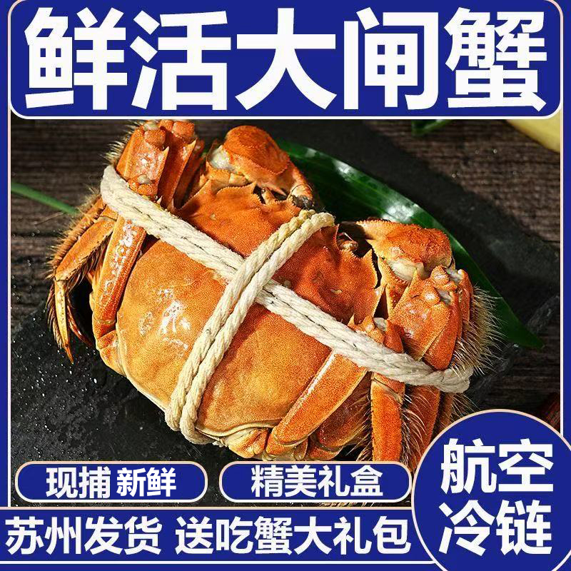 现货鲜活大闸蟹公母螃蟹生鲜海鲜水产礼盒装6/12含绳工具苏州发货