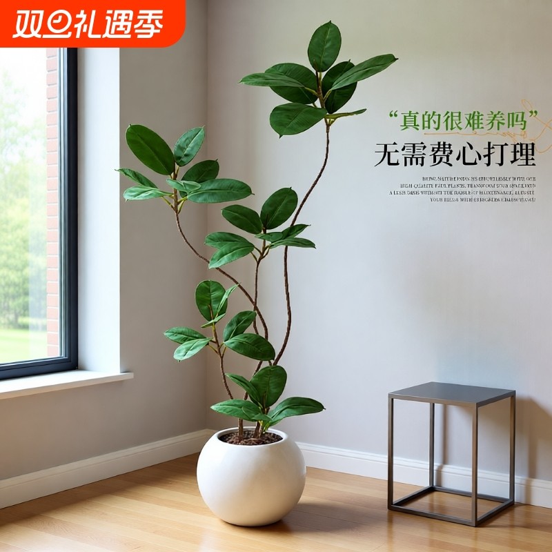 仿真绿植黑金刚橡皮树高端轻奢客厅摆件大型落地风假植物卧室阳台