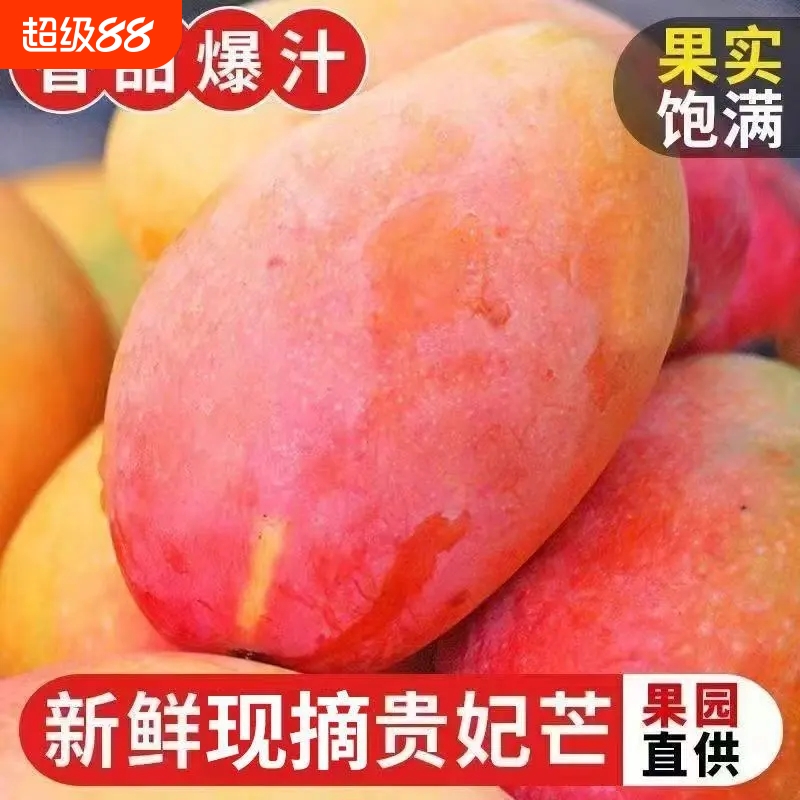 贵妃芒新鲜芒果当季水果红金龙贵妃辣椒芒甜心芒整箱包邮上门送货