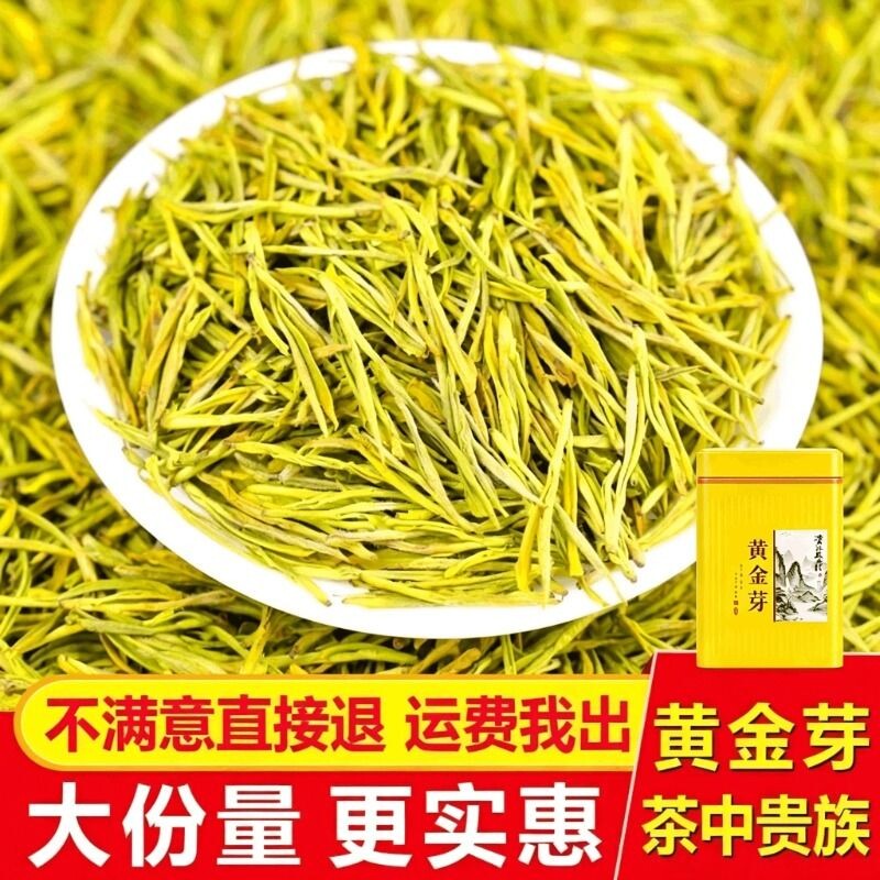 2026年新茶黄金芽茶叶正宗安吉高山明前春茶绿茶送礼礼盒散装茶叶图片
