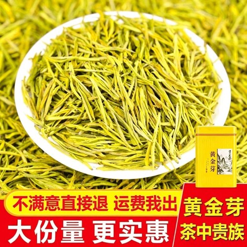 2026年新茶黄金芽茶叶正宗安吉高山明前春茶绿茶送礼礼盒散装茶叶