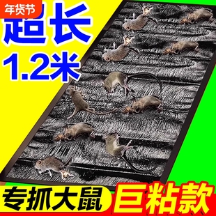 老鼠贴超强力粘鼠板魔毯抓大老鼠夹扑捉灭鼠胶沾正品家用捕鼠神器