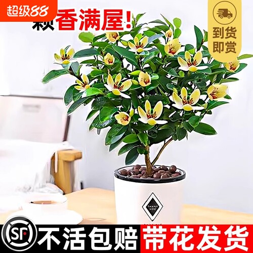 基地直销 新品特惠