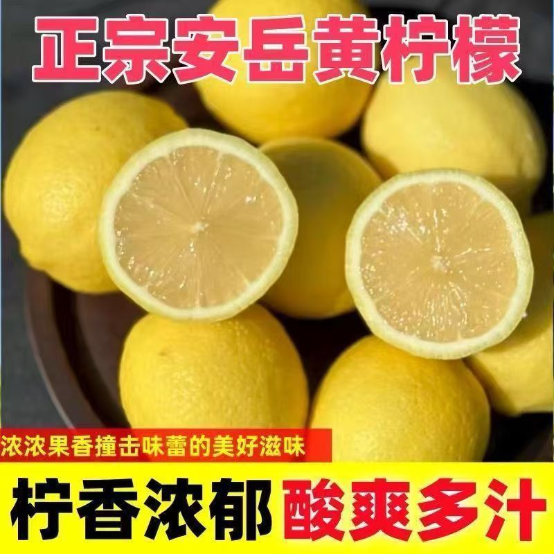 安岳黄柠檬水果当季新果薄皮柠檬果子泡水鲜果现摘精选皮薄奶茶