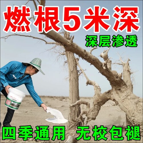 枯i死i专用药正品通用型杂草专用竹子腐燃腐蚀剂树园艺肥料强力F