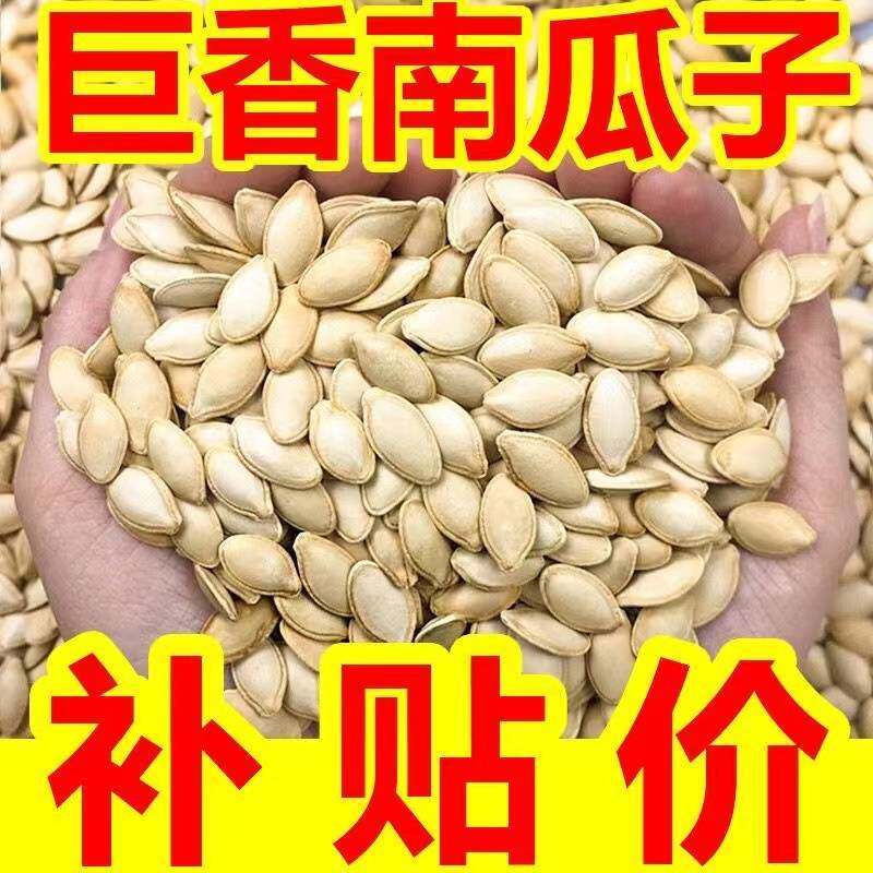 新货原味炒熟大颗粒南瓜子第一名南瓜籽零食批发斤装椒盐散装袋装
