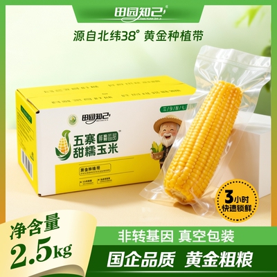 五寨甜糯玉米国企品质黄金粗粮