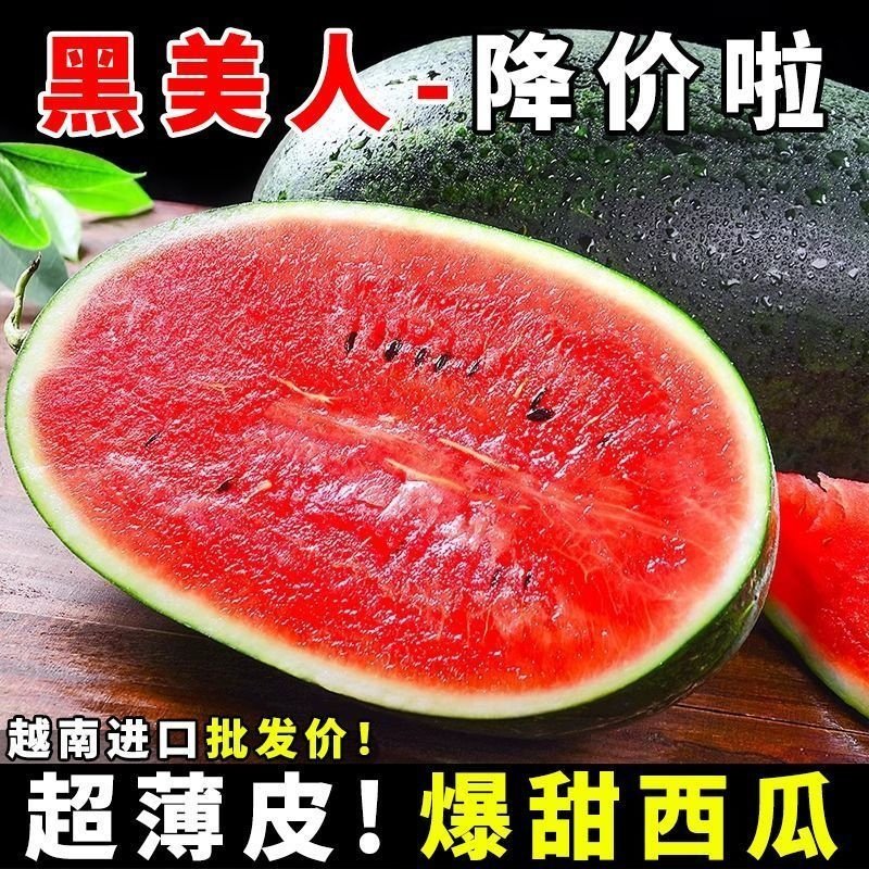新鲜黑美人西瓜8斤现摘进口产地黑籽红肉大西瓜黑皮包邮清甜多汁,水产肉类/新鲜蔬果/熟食,西瓜,淘宝优惠券,粉丝福利购,淘宝优惠卷