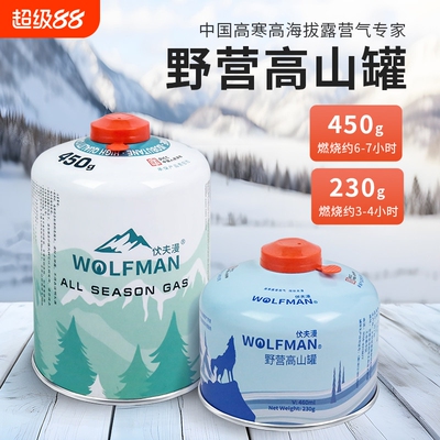 户外扁气罐便携高原高山气瓶野外露营炉具瓦斯丁烷燃气小煤气罐装