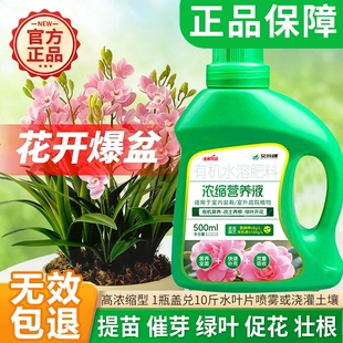 营养液植物通用型绿萝多肉僵苗黄叶急救水培养花卉绿植盆栽花肥料
