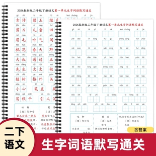 2026春人教版 生字词语默写通关练习含答案 小学新二年级下册语文单元