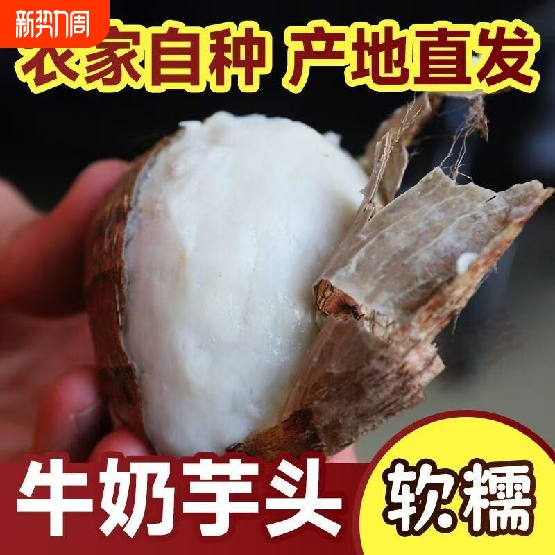 24年山东奶芋头牛奶芋头新鲜毛芋头现挖奶油芋艿软糯丝滑当季蔬果