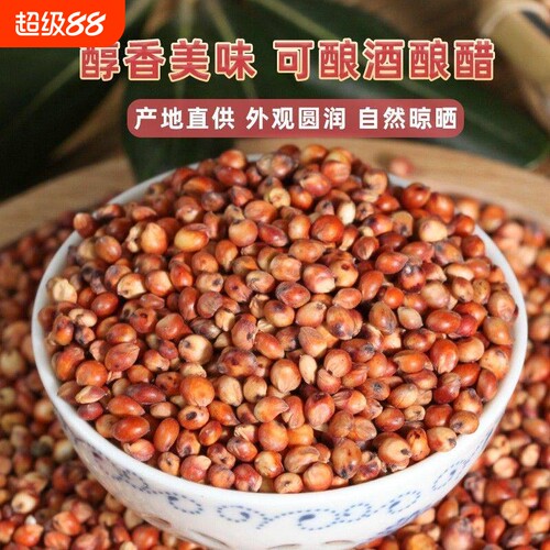 贵州农家红高粱酿酒喂鸽子包邮