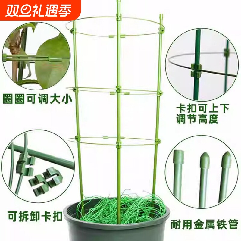 花架爬藤架子葡萄架支架杆蔬菜植物葡萄黄瓜西红柿种植架固定客厅