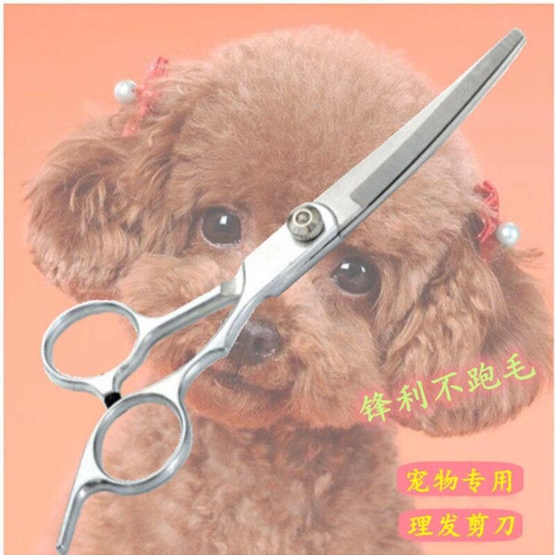 剪子家用宠物美容打薄剪刀修剪狗狗生活用品全套剪毛弯剪刀圆头