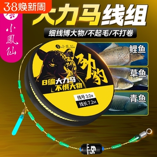 小凤仙大力马线组全套套装成品主线鱼线鱼钩鲫鱼大物双钩钓鱼线组