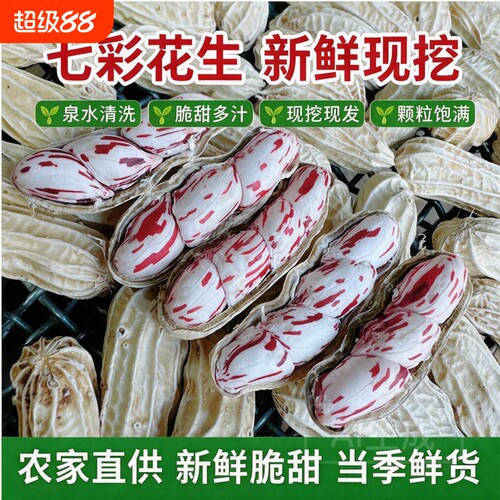 2026年新鲜现挖七彩花生云南特产五彩花生奶油花生湿花生黑花生