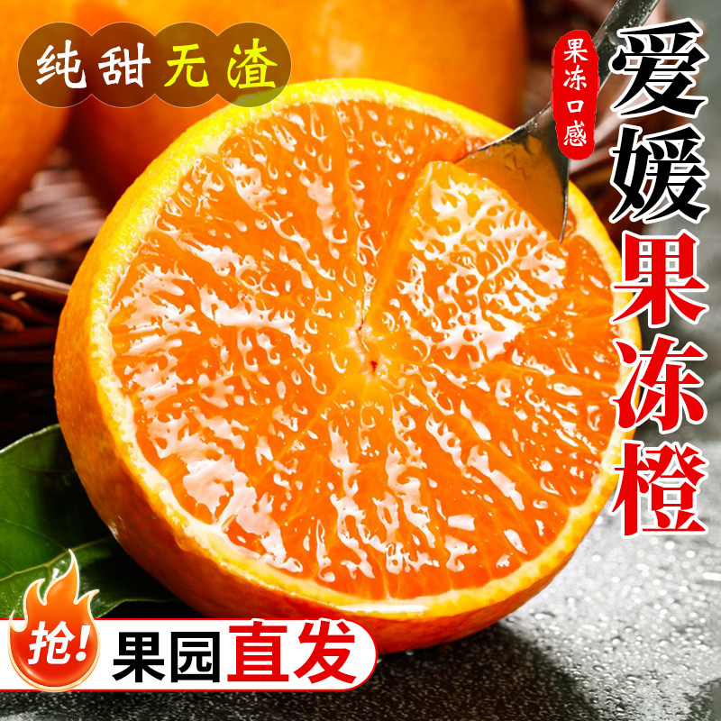 正宗四川爱媛38号果冻橙3斤起多规格新鲜当季孕妇水果甜橙子整箱