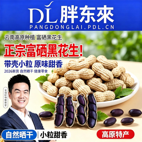 云南黑花生黑皮花生富硒带壳原味甜特产2026年货袋装新货晒干日晒