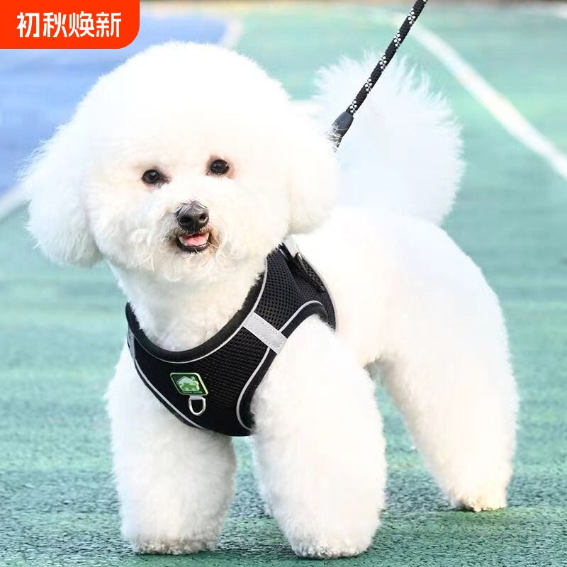 背心式狗狗牵引绳小型犬比熊泰迪博美小狗幼犬胸背带遛狗绳狗链子