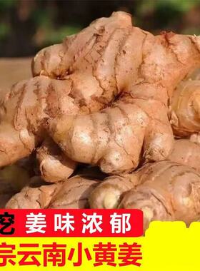 正宗云南小黄姜老姜高山现挖
