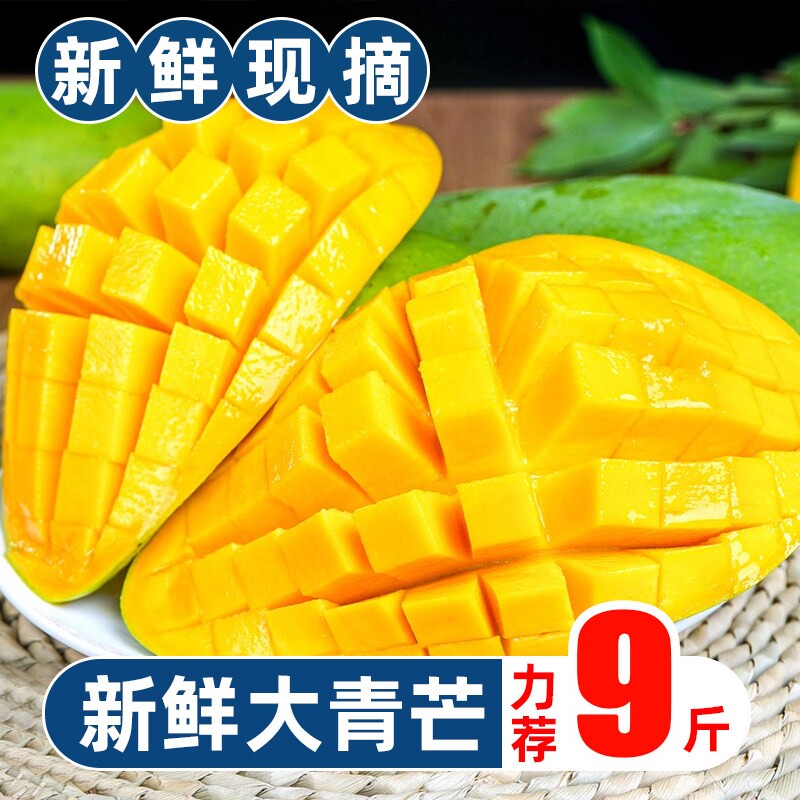 越南新鲜大果进口玉芒当季生吃青芒果现摘新鲜大芒果包邮热带8斤