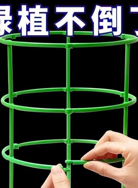 塑料植物爬藤架|超1000次加购
