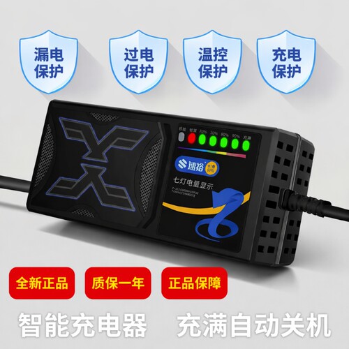 48V电动车充电器适用爱玛雅迪