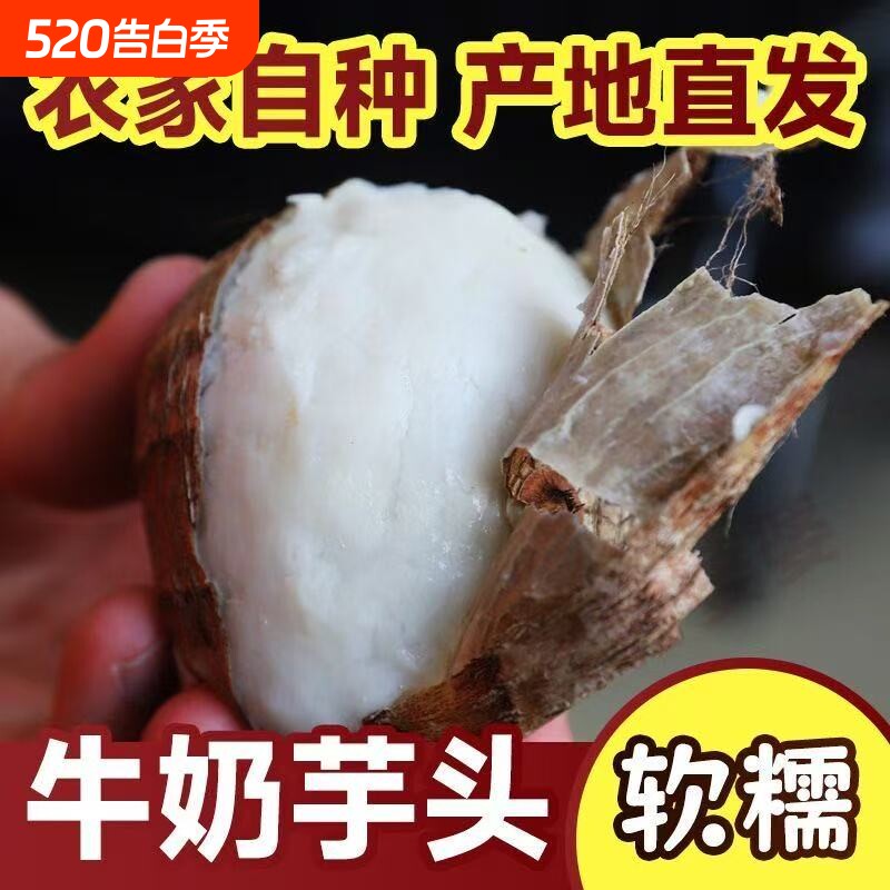 24年山东奶芋头牛奶新鲜毛芋头现挖奶油芋艿软糯当季蔬果香芋自种