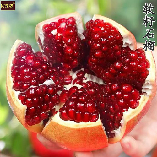 四川突尼斯软籽石榴大果整箱