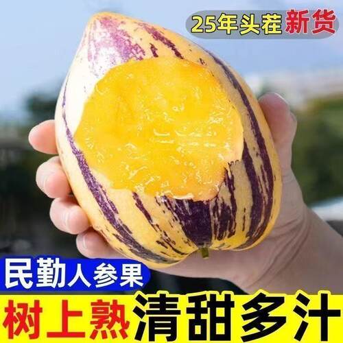 正宗甘肃民勤沙漠新鲜人参果黄心甜孕妇可食黄肉香甜多汁长寿果整