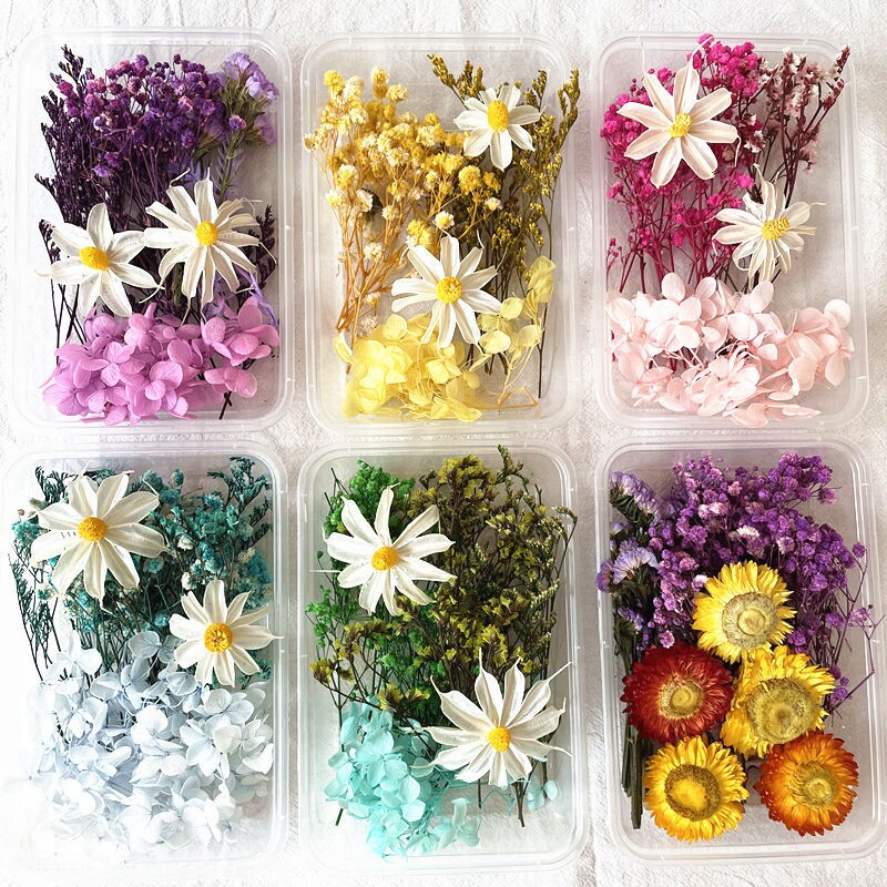 儿童永生花干花材料包相框diy手工幼儿园团建亲子活动告白老师