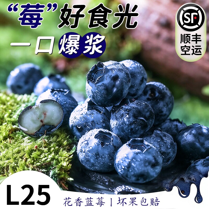 云南蓝莓鲜果特大礼盒当季高山L25花香新鲜水果孕妇怡颗蓝梅整箱