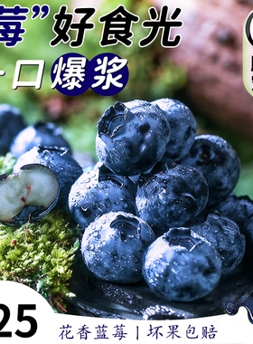 云南蓝莓鲜果特大礼盒当季高山L25花香新鲜水果孕妇怡颗蓝梅整箱