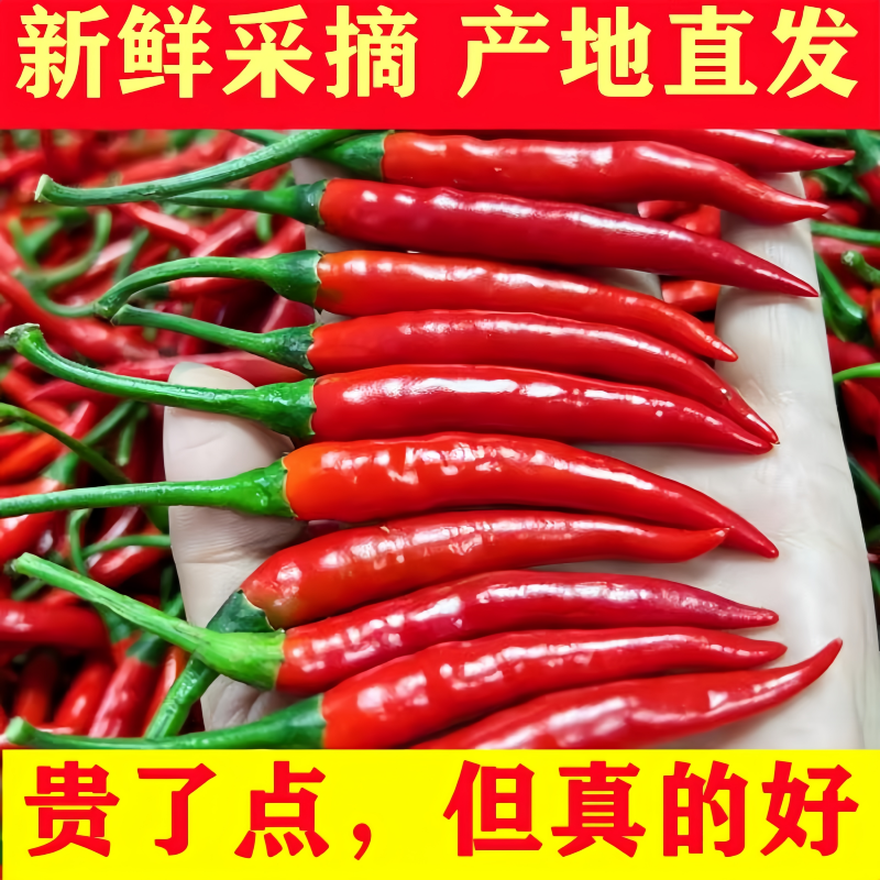云南新鲜小米辣特辣朝天椒超辣指天椒薄皮土红辣椒辣度爆表香辣