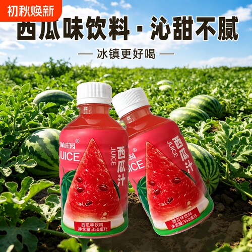西瓜汁果汁饮料350ML饮解渴夏天解暑饮品麒麟瓜西瓜味冰镇鲜榨