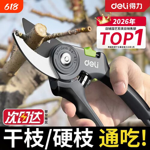 得力修剪树枝剪刀修枝剪果树剪枝