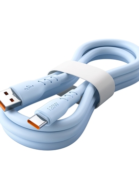 快冲冲Type-C快充线加粗神龙线蓝色1米1条装