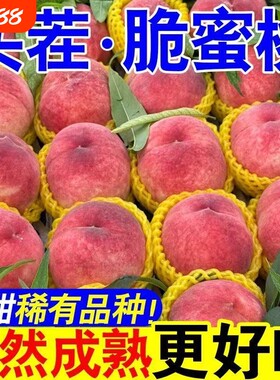 2026正宗脆蜜桃新鲜水果脆甜桃毛桃水蜜桃子当季整箱批发价现摘