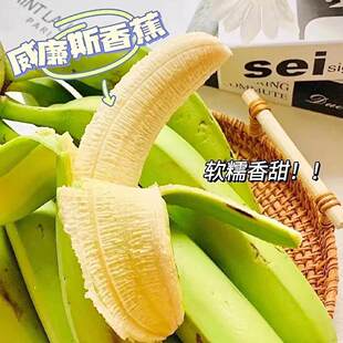 云南威廉斯高山香蕉绿皮香蕉产地现摘自发自然熟新鲜应季水果5斤