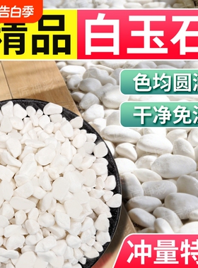 鹅卵石小白石子雨花石庭院造景多肉铺面水培白色石头子鱼缸原石