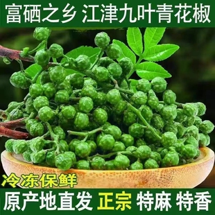 江津九叶青新鲜花椒粒350g袋装调味品小包装青花椒食用保鲜真空