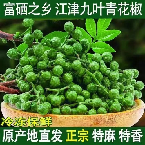 江津九叶青新鲜花椒粒餐饮专用