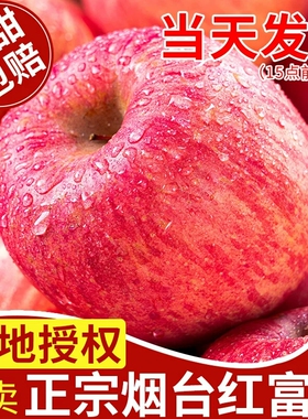 山东烟台红富士正宗栖霞苹果新鲜水果应当季脆甜苹果整箱9斤包邮