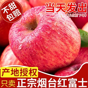 山东烟台红富士正宗栖霞苹果新鲜水果应当季脆甜苹果整箱9斤包邮