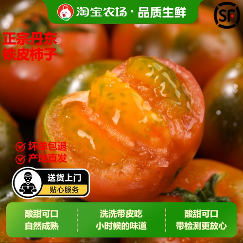 顺丰包邮正宗铁皮草莓柿子新鲜当季西红柿生吃水果东北番茄酸甜口