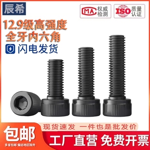 全牙12.9级内六角螺丝高强度杯头螺栓圆柱头螺钉M2M3M4M5M6M8 M24