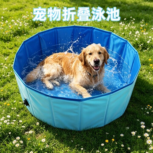 宠物游泳池可折叠便携式免充气